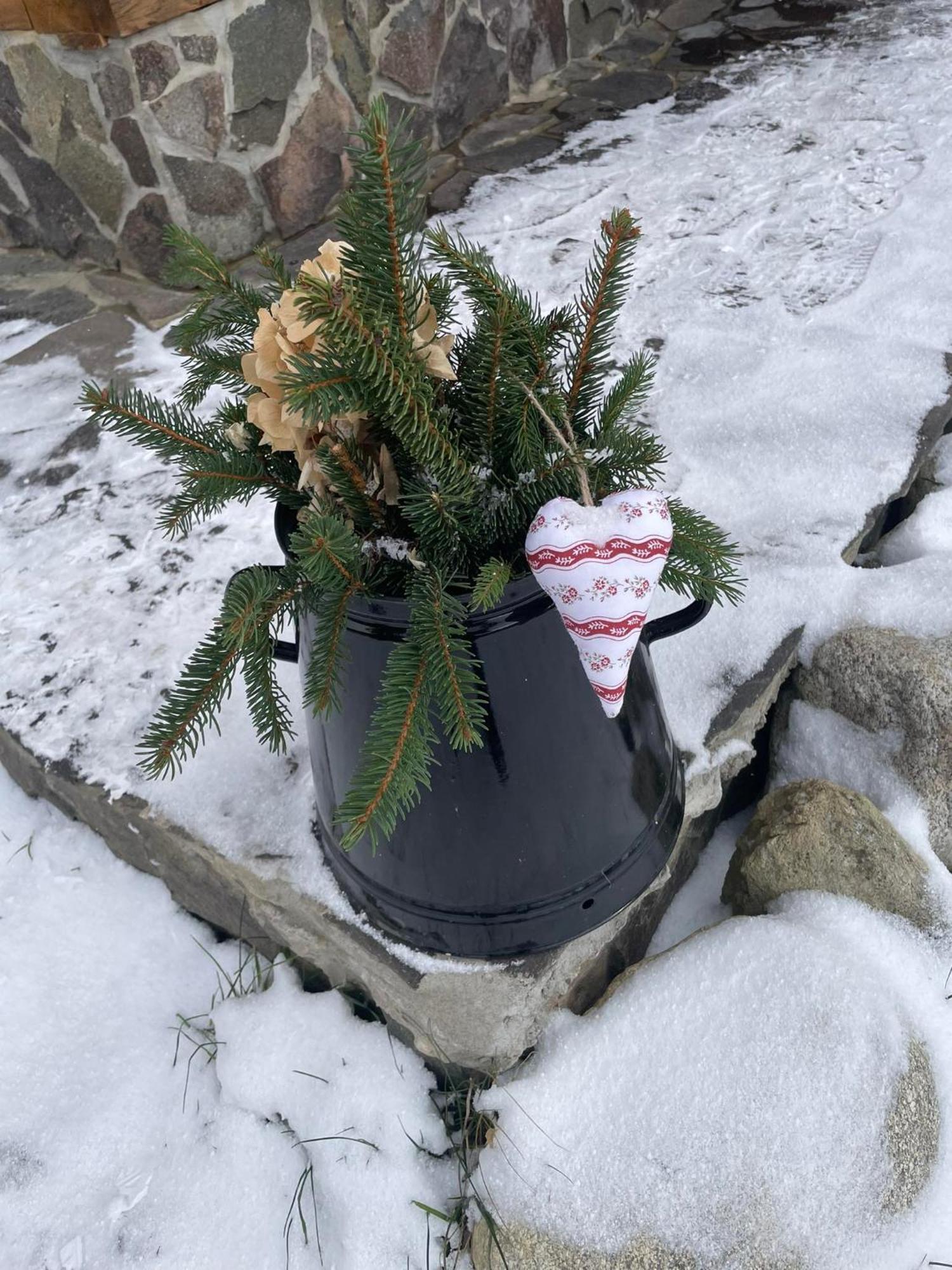 Drevenica Zapadne Tatry S Kupacou Kadou A Krbom Lejlighed Žiar Eksteriør billede