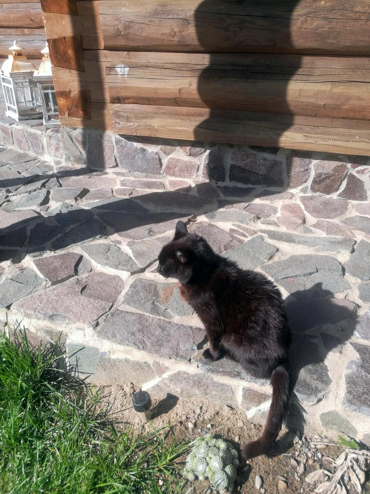Drevenica Zapadne Tatry S Kupacou Kadou A Krbom Lejlighed Žiar Eksteriør billede